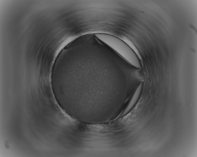 X0000091461197200708231310