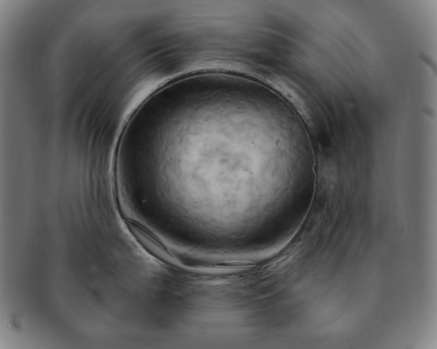 X0000091461199200708231310