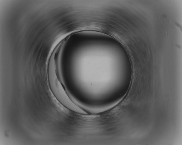 X0000091461200200708231310