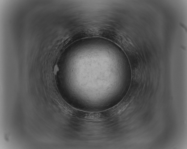X0000091461201200708231309