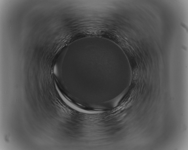 X0000091461202200708231309