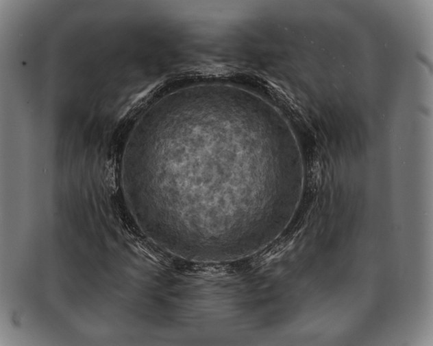 X0000091461205200708231309
