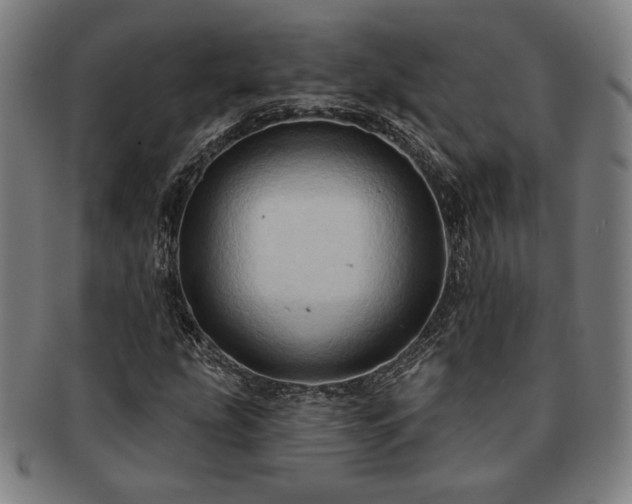 X0000091461207200708231309