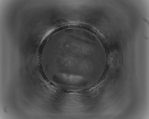 X0000091461208200708231309