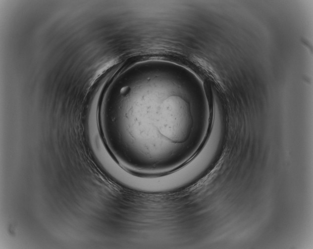 X0000091461210200708231309