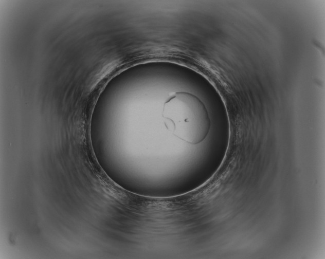 X0000091461211200708231309