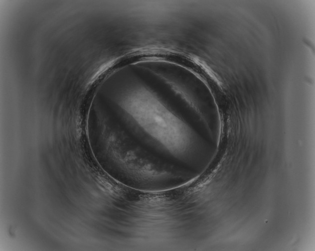 X0000091461213200708231309