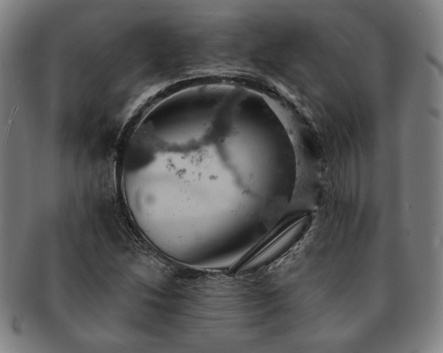 X0000091461214200708231309