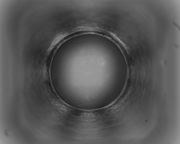 X0000091461215200708231309