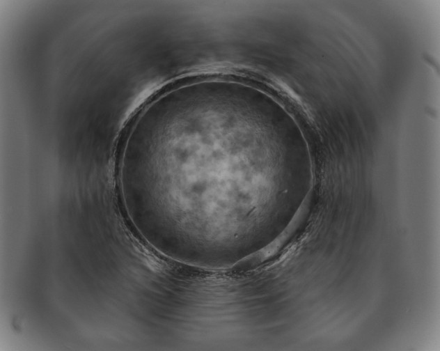 X0000091461216200708231309