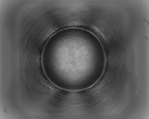 X0000091461217200708231309