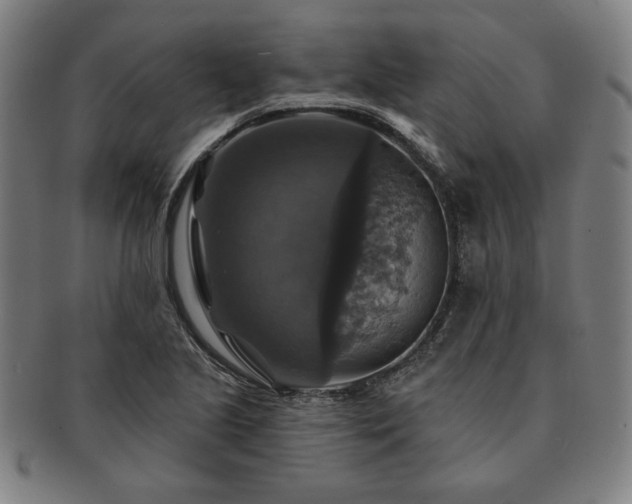 X0000091461221200708231309
