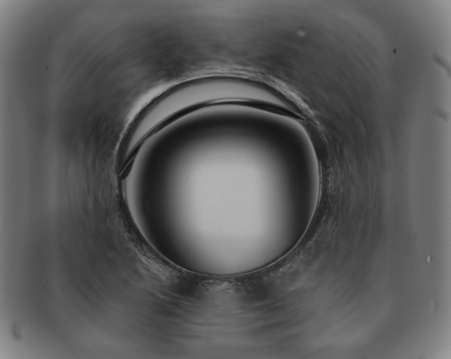 X0000091461222200708231309