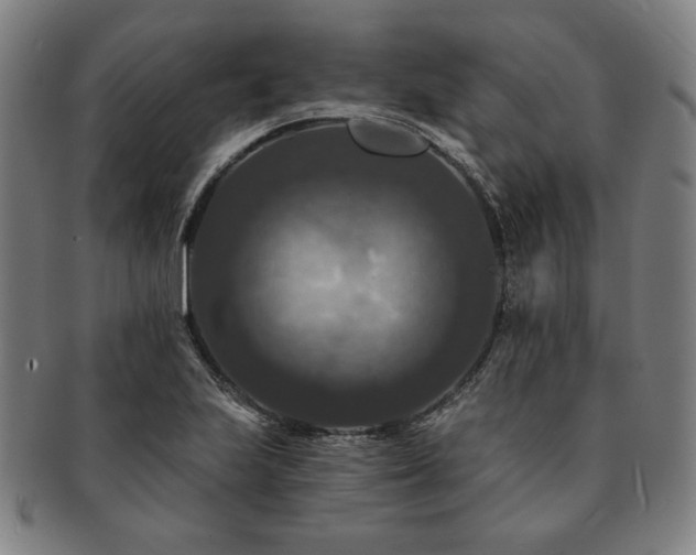 X0000091461223200708231309
