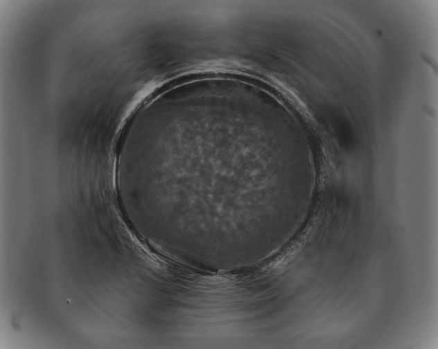 X0000091461224200708231309