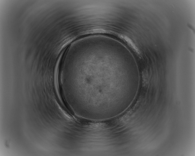 X0000091461225200708231309