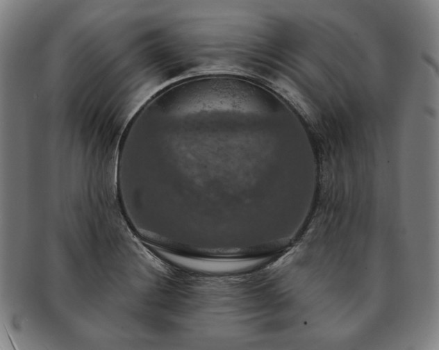 X0000091461228200708231309