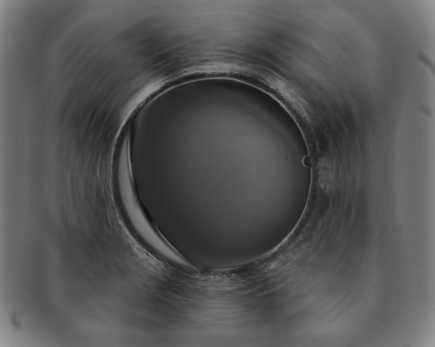 X0000091461229200708231309