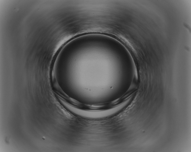 X0000091461230200708231309