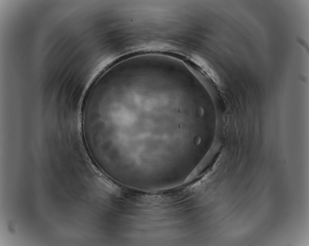 X0000091461232200708231309