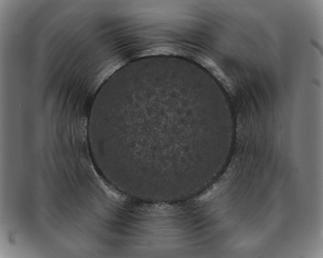 X0000091461233200708231309