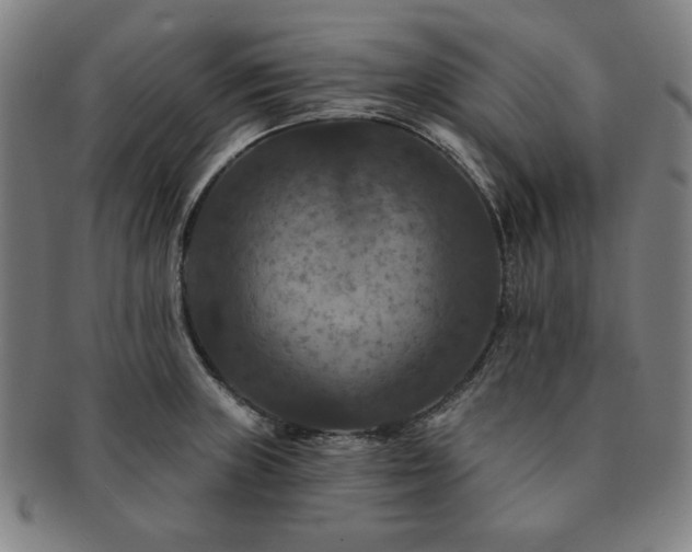 X0000091461235200708231309