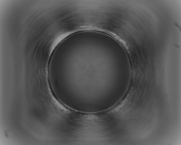 X0000091461239200708231310