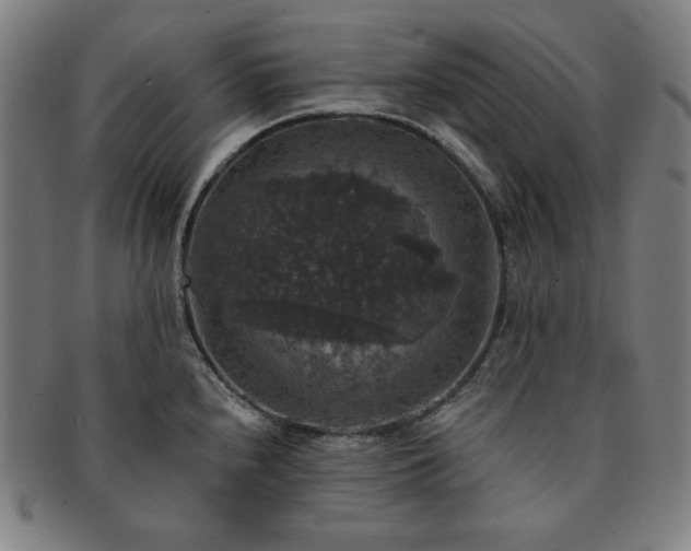 X0000091461240200708231310