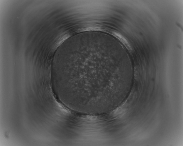 X0000091461241200708231310
