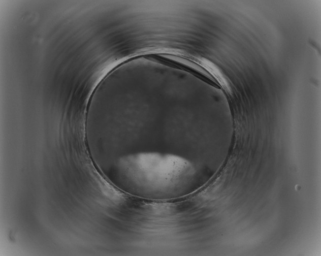 X0000091461244200708231310