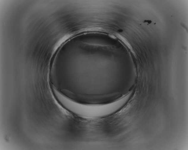 X0000091461245200708231310