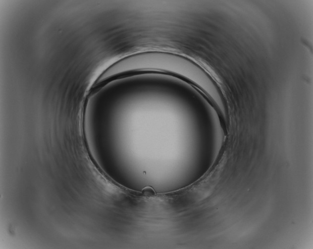 X0000091461246200708231310