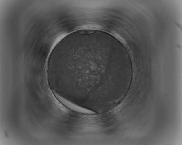 X0000091461248200708231310