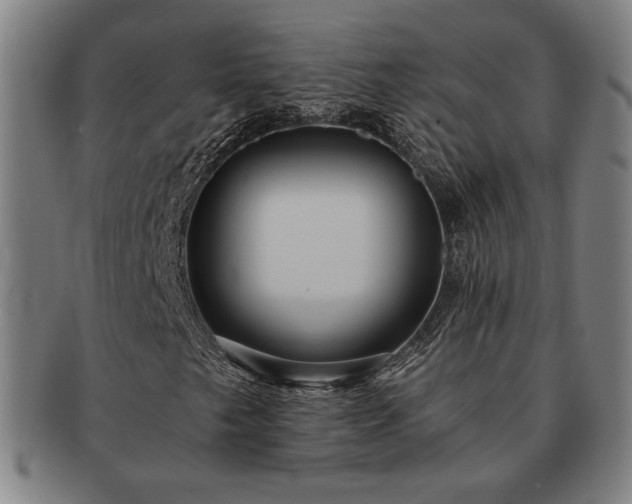 X0000091461249200708231309