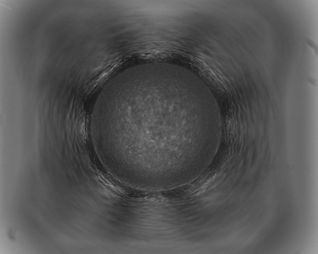 X0000091461250200708231309