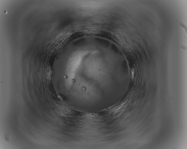 X0000091461251200708231309