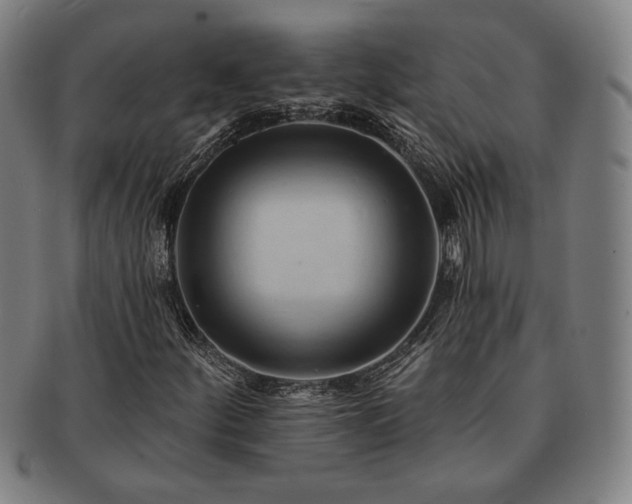 X0000091461252200708231309