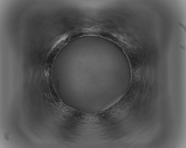 X0000091461254200708231309