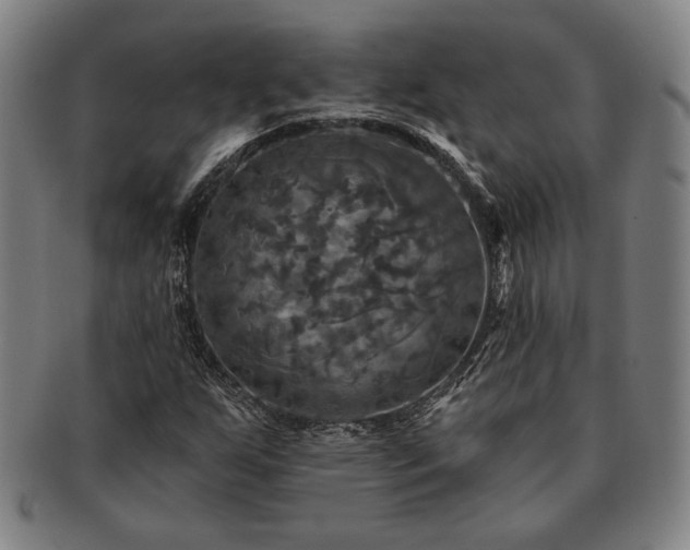 X0000091461255200708231309