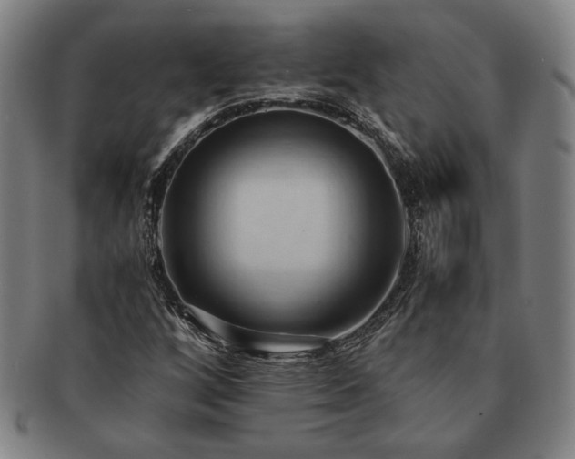X0000091461256200708231309