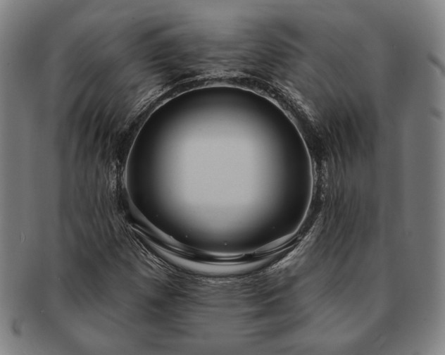 X0000091461257200708231309