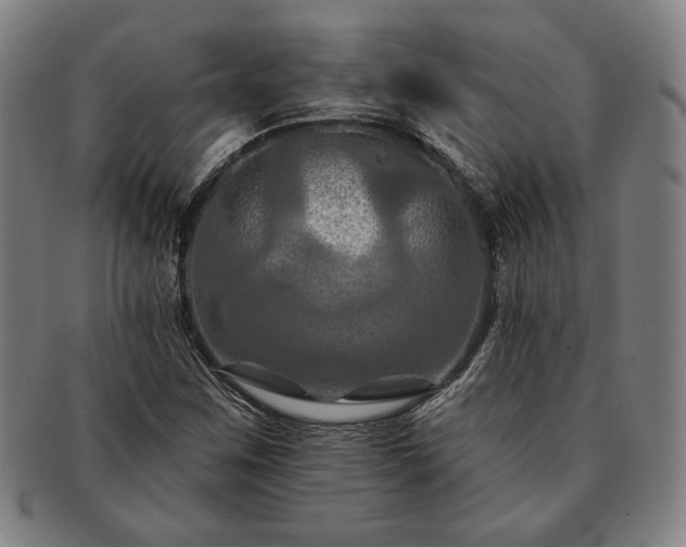 X0000091461259200708231309
