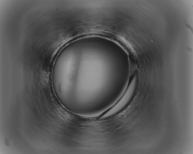 X0000091461260200708231309