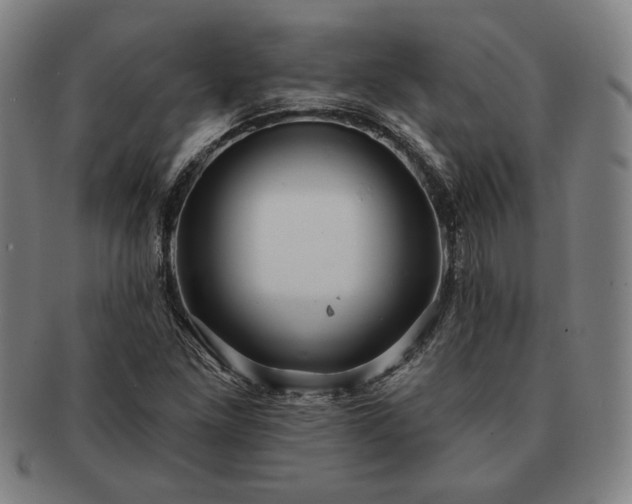 X0000091461261200708231309