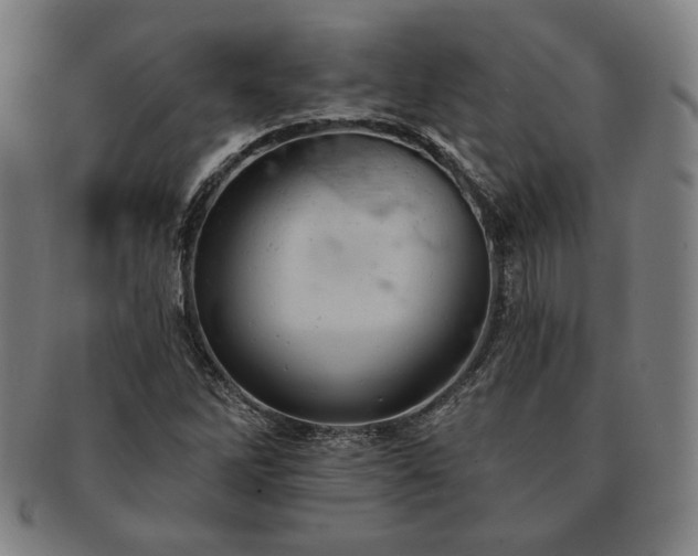X0000091461262200708231309