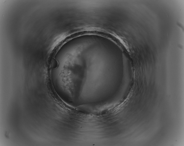 X0000091461263200708231309