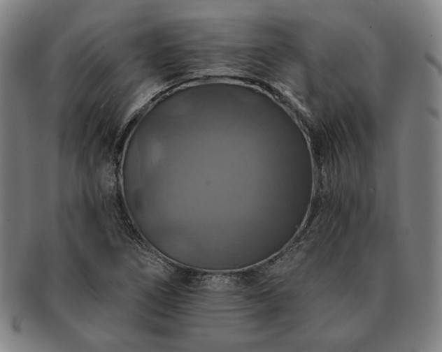 X0000091461266200708231309