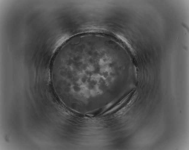 X0000091461267200708231309