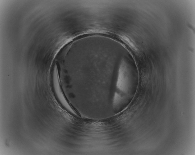X0000091461268200708231309