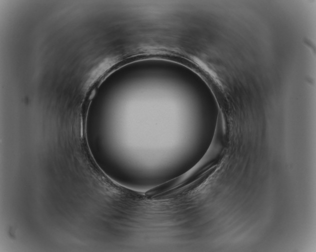 X0000091461269200708231309